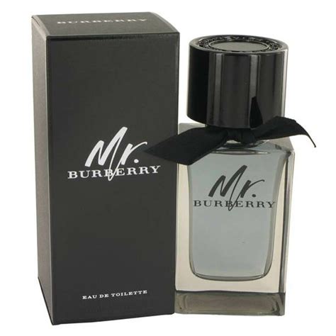 mr burberry perfume ad|burberry perfume for men's price.